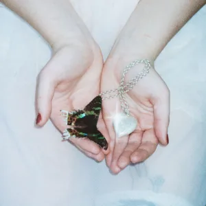 Wings Of A Butterfly