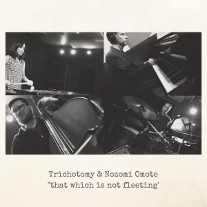 That Which is Not Fleeting