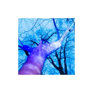 bluetape