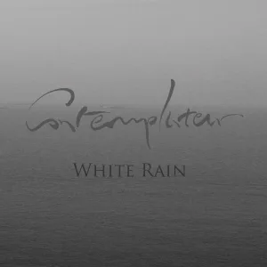 Cluster Amaryllis