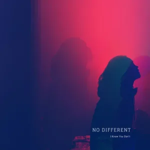 I Know It Means I Love You (Original Mix)