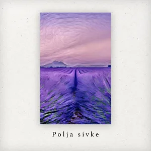 Polja sivke