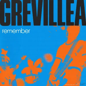 Remember