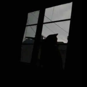 Fui esa niña (Demo)