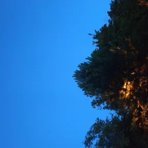 Interlude