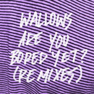 Are You Bored Yet? (feat. Clairo) (Big Data Remix)