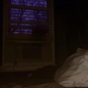 Goodbaby, Goodbye