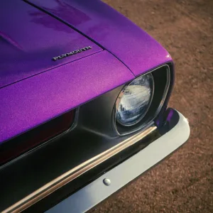 Barracuda