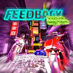 Feedback