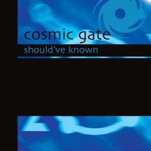 Should’ve Known (dub mix)