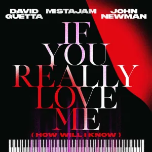 If You Really Love Me (How Will I Know) (Extended)