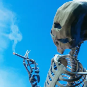 bœnus%2