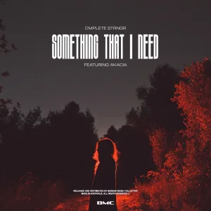 Something That I Need (ft Akacia)