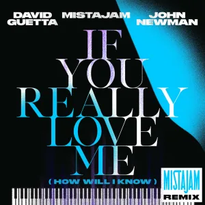 If You Really Love Me (How Will I Know) (MistaJam Remix Extended)