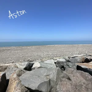 Antidote