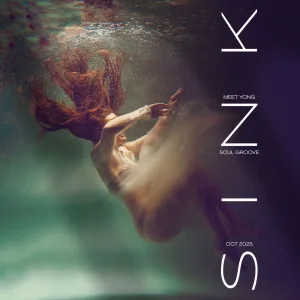 Sink (Radio Edit)