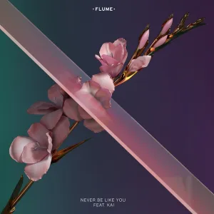 Never Be Like You (Martin Solveig remix)