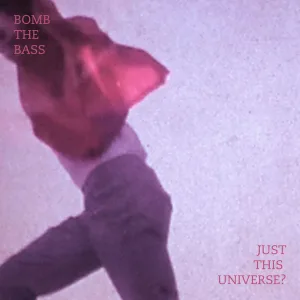 Just This Universe