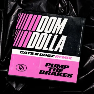 Pump The Brakes (Catz 'n Dogz Remix)