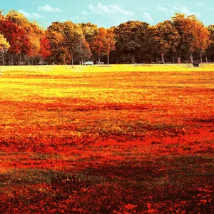 Photographs