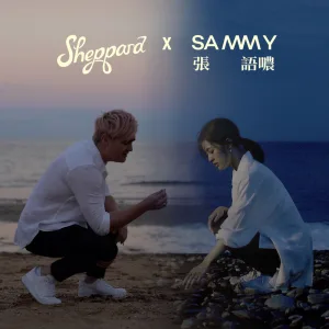 Somebody Like You (Duet Version)