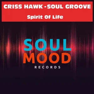 Spirit of Life (Original Mix)