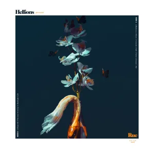 (Cocoon)