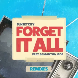 Forget It All (Vize & Mabe remix)