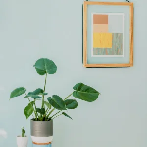 Bright And Bold