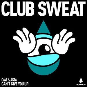 Can't Give You Up