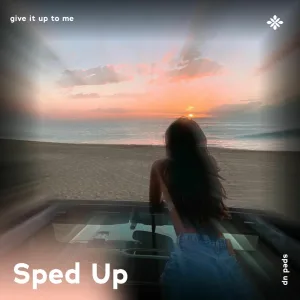 give it up to me - sped up + reverb