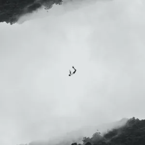 No Running