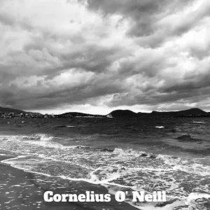 The Storm
