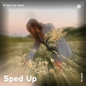 all that she wants - sped up + reverb