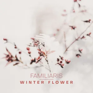 Winter Flower