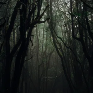 Dark Love
