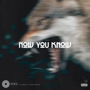 Now You Know (feat. Rydah, Lil Spacely & Steez Malase)