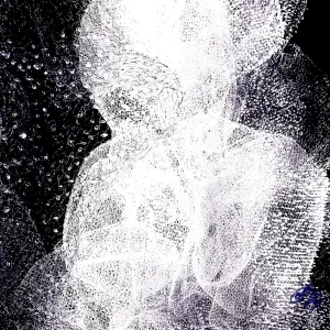 Swan dance