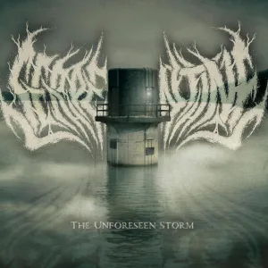 The Unforeseen Storm