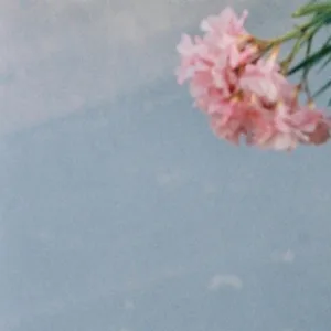 Your Name (feat. Bellashakti)