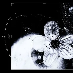 i need your love (breakcore slowed + reverb)