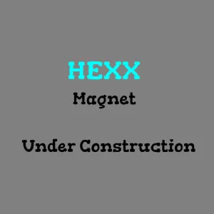 Magnet