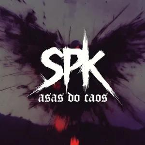 Asas do Caos