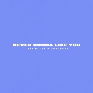 NEVER GONNA LIKE YOU (Clean Version)
