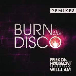 Burn the Disco (feat. will.i.am) (David Heartbreak Remix)