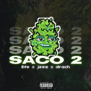 Saco 2