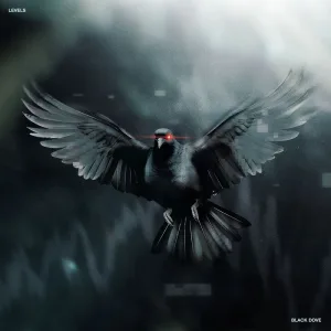 Black Dove