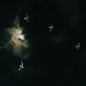 Closer to the Sun (Radio Edit)