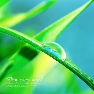 DewLike Mind