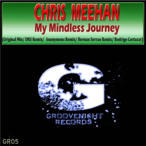 My Mindless Journey
